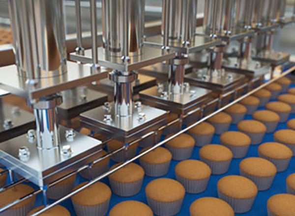 Los puntos clave de la producción de galletas de maní