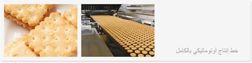 Cómo reducir la contaminación ambiental causada por la maquinaria para galletas