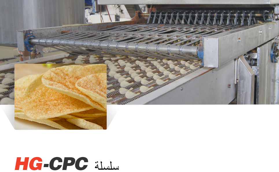 Componentes clave de los equipos modernos de patatas fritas 