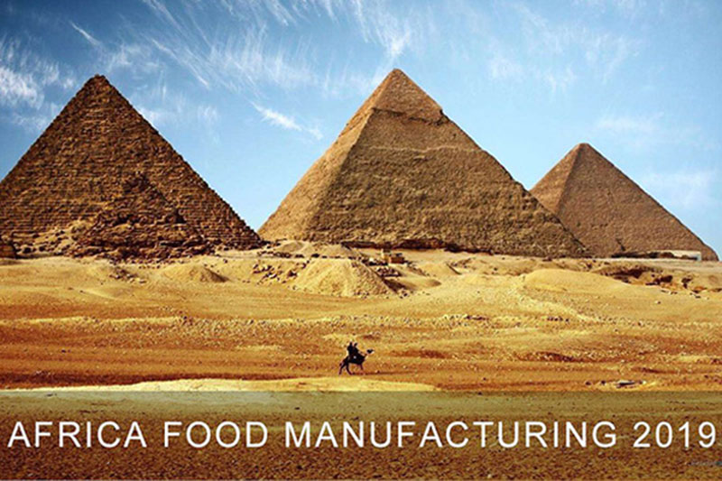 FABRICACIÓN DE ALIMENTOS EN ÁFRICA 2019