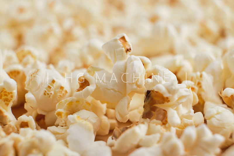 Línea de Producción de Palomitas de Maíz