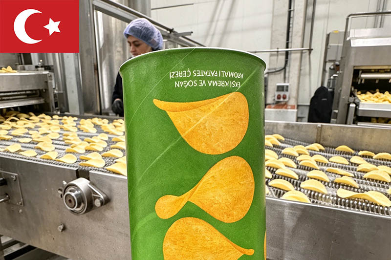 Proyecto de fábrica de patatas fritas de pavo 1000 kg/h