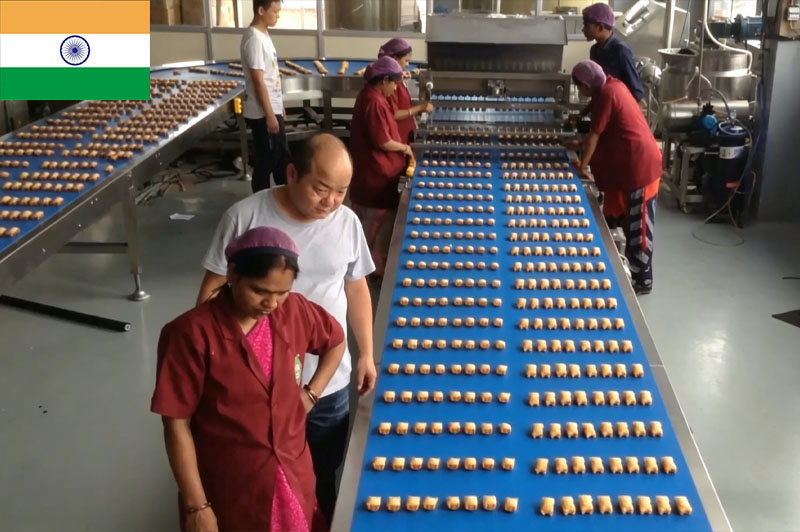 Línea de alta velocidad India Bear Cake 400 kg/h