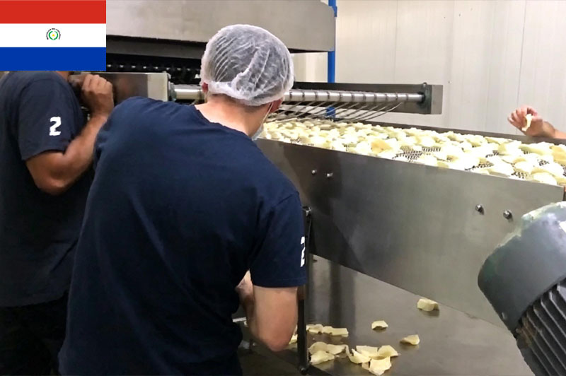 Proyecto de Producción de Chips Paraguay 250kg/h