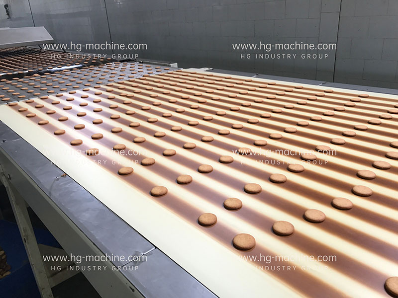 Línea de producción automática de galletas rellenas o sándwich