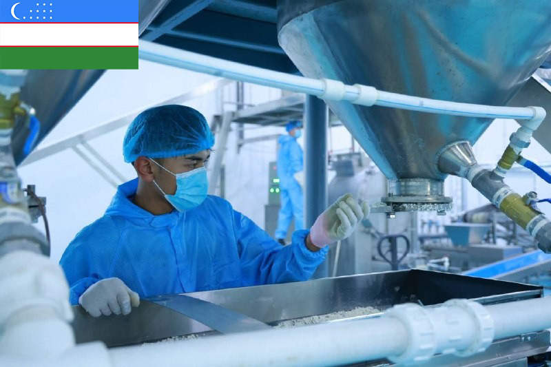 Uzbekistán | Proyecto llave en mano de línea de producción de snacks de arroz